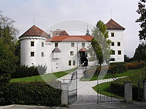 Castle (Slovenia)