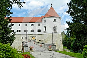 Castle in Slovenia