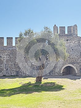 Castle stone tree.An ancient stone arch
