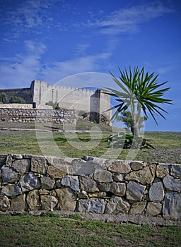 Castle, stone wall and palm