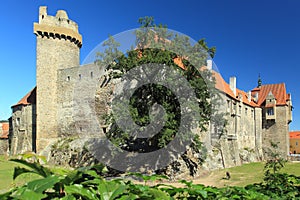 Castle in Strakonice