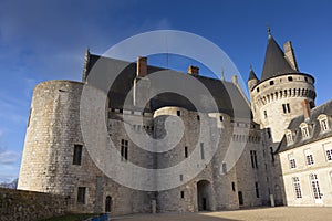 Castle of Sully-Sur-Loire