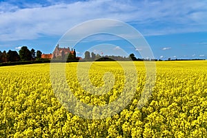 Castle surrounded by canola fields