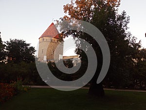 Castle in Tallin