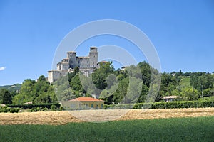Castle of Torrechiara Italy and vineyard