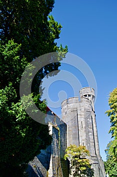 Castle Tower blue sky and trees