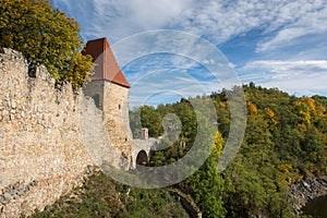 Castle tower climbing out of the forest.