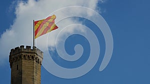 Castle tower with flag.