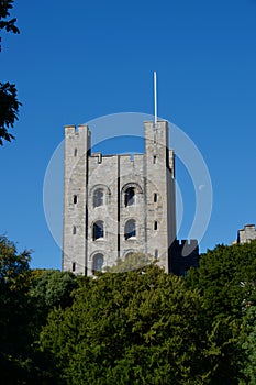 Castle tower and the trees