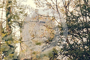 The Castle Tower Through The Trees photo