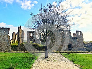 Castle tree