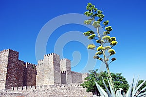Castle of Trujillo, old village , Caceres