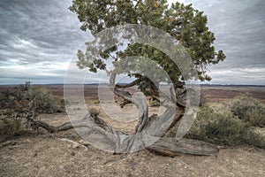 Castle Valley Utah