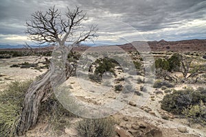 Castle Valley Utah