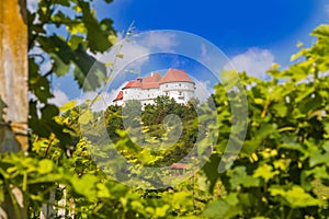 Castle Veliki Tabor on hill, Zagorje, Croatia