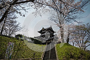 Castle view during cherry blossom