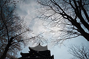 Castle view during cherry blossom