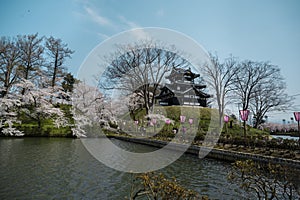 Castle view during cherry blossom