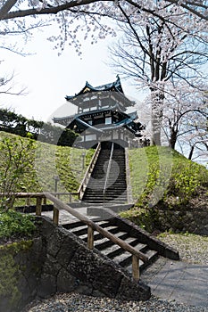 Castle view during cherry blossom