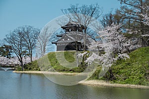 Castle view during cherry blossom