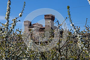 castle of vignola medieval fortress city of cherry with its blooms