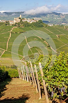 Castle and village Castiglione Falletto, Piemonte, Italy