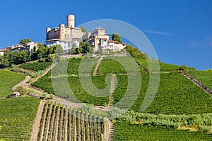 Castle and village Castiglione Falletto, Piemonte, Italy