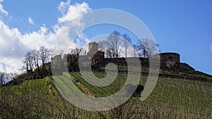 Castle on vineyard hill fortress ruin