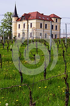Castle And Vineyard In Spring, Prekmurje, Slovenia photo