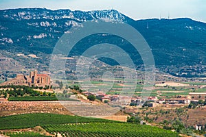 A castle in the vineyards of Briones. La Rioja, Spain photo