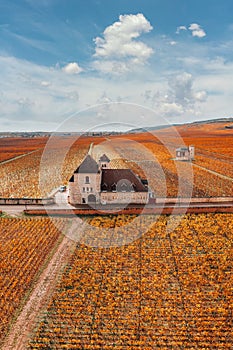 Castle and vineyards in Burgundy, aerial view in autumn. France