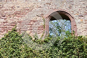 The castle wall, old from stone blocks, with a window and a climbing plant in Germany. Castle wall with text space