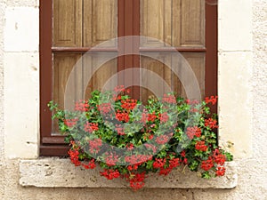 Castle window