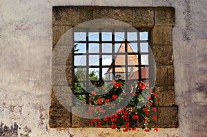 Castle window, Ptuj, Slovenia photo