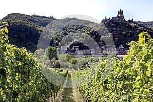 Castle and wine hills in Cochem, Germany