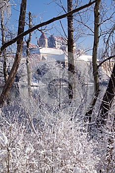 Castle In Winter Forest