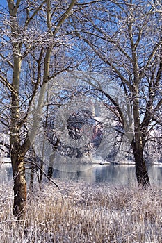 Castle In Winter Forest