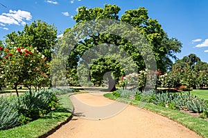 Castlemaine Botanical Gardens in Castlemaine, Victoria, Australia