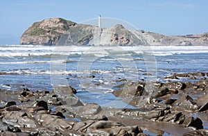 Castlepoint, New Zealand