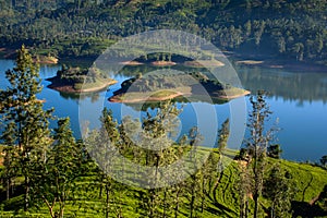 Castlereigh reservoir in sri lanka