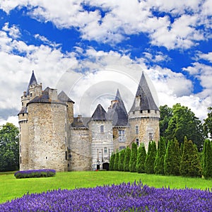 castles of France, Dordogne region photo