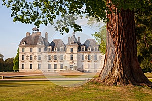Castles of Loire valley, elegant Cheverny