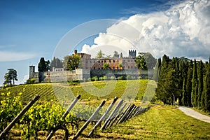 Brolio Castle and the nearby vineyards. The Castle is located in the production area of the famous Chianti Classico wine. Tuscany,