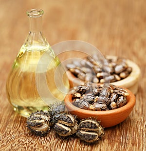 Castor beans and oil photo