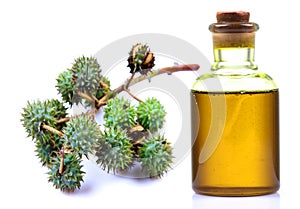 Castor oil