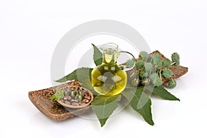 Castor oil bottle with castor fruits, seeds and leaf. photo