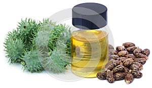 Castor oil with dry and green beans