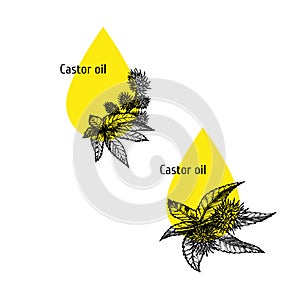 Castor oil icon set. Hand drawn sketch. Extract of plant. Vector illustration