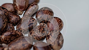 Castor oil seeds.