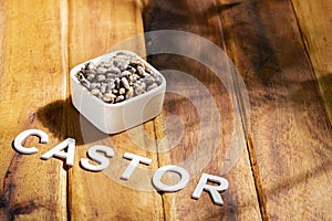 castor seeds and oil, on wooden surface, royalty free photo